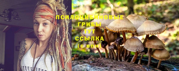сатива Алзамай