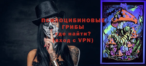 сатива Алзамай
