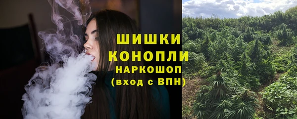 сатива Алзамай