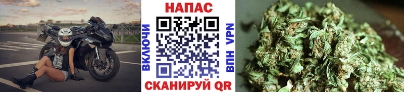 Шишки марихуана планчик  цены   Звенигово 